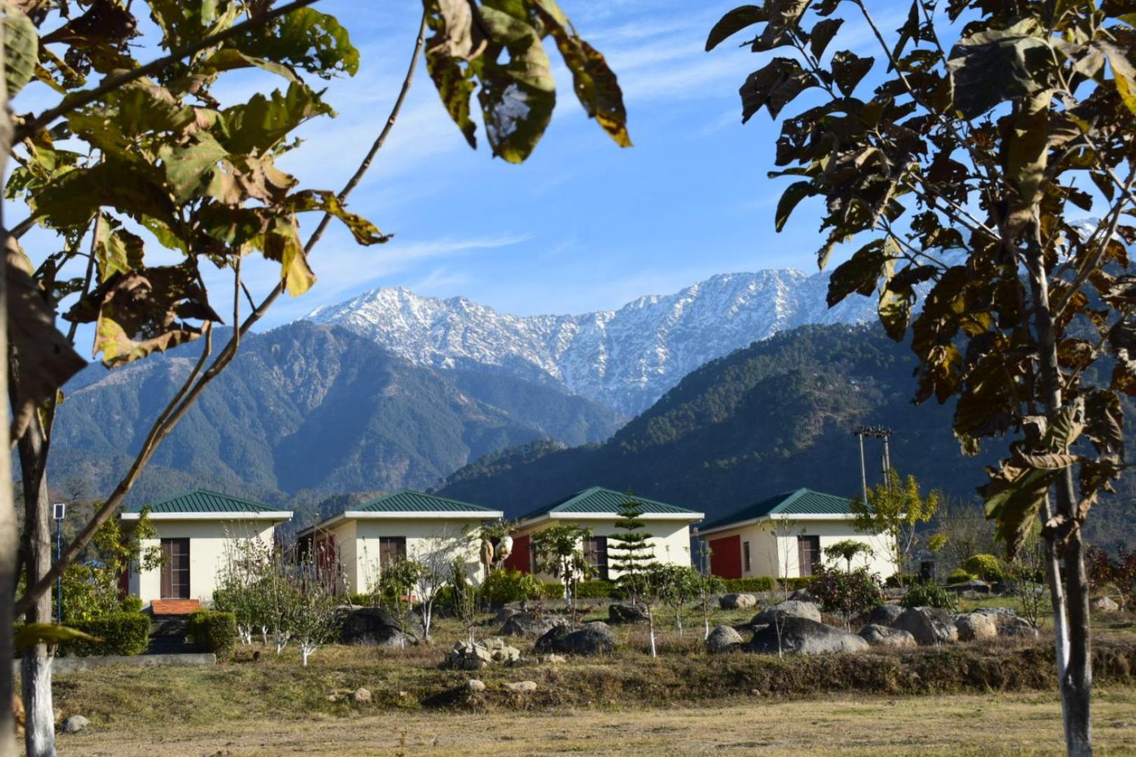 Dhauladhar View Village Resort Dharamshala Esterno foto